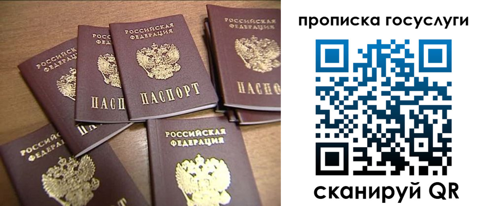 прописка для работы в Донском